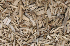 biomass boilers Little Limber